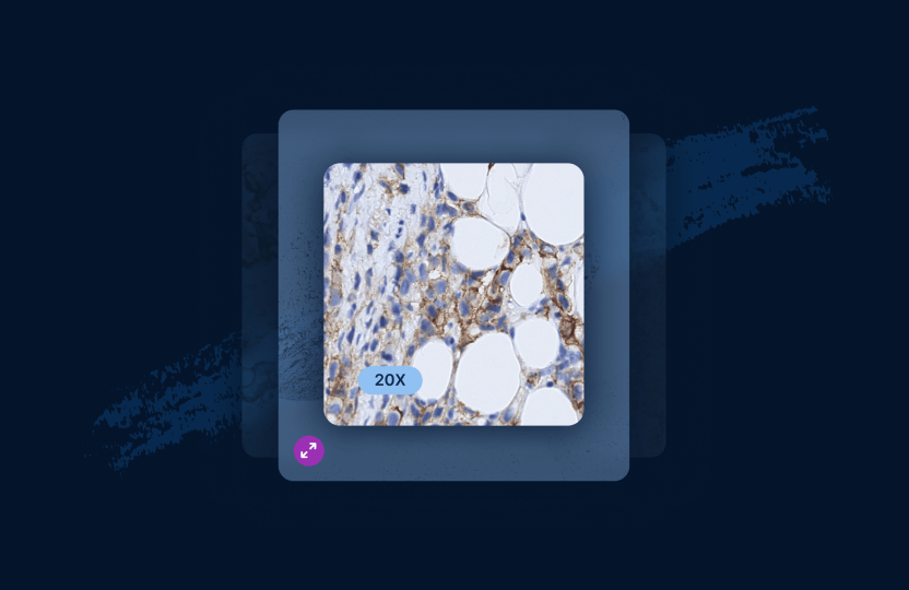 Explore whole slide images of hand-selected clinical cases